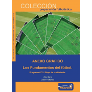 Anexo Gráfico Los Fundamentos del Fútbol. Programa AT-3.Etapa de Rendimiento.